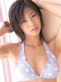 安田美沙子 No184 Misako Yasuda [DGC](25)